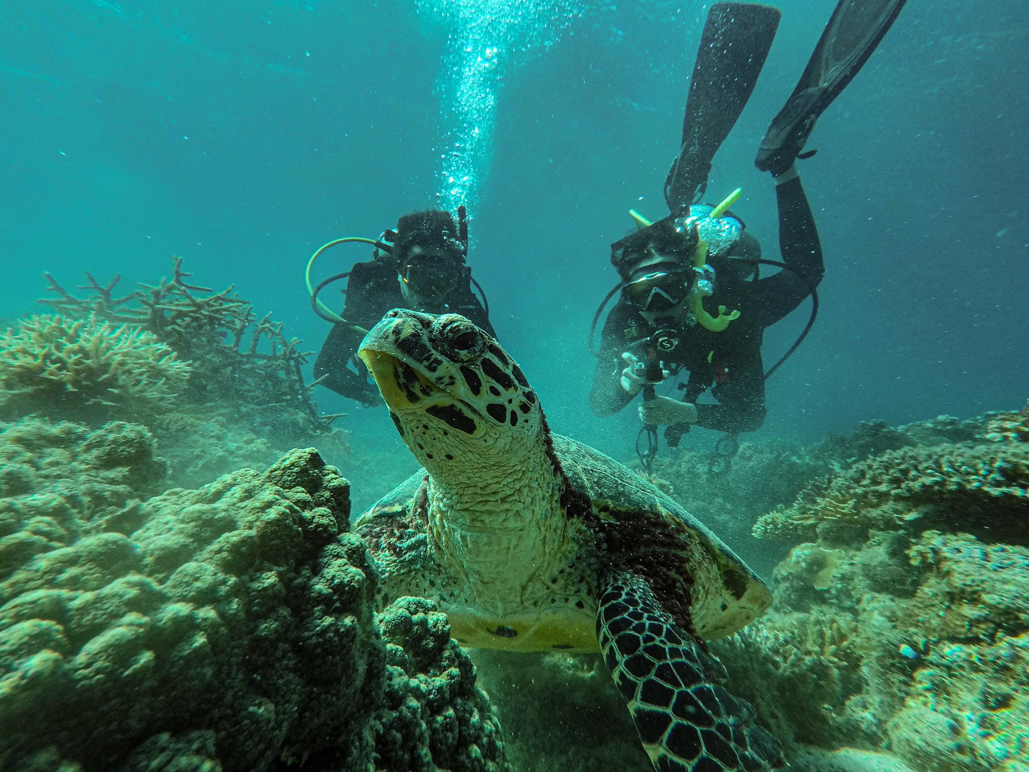 Scuba Diving